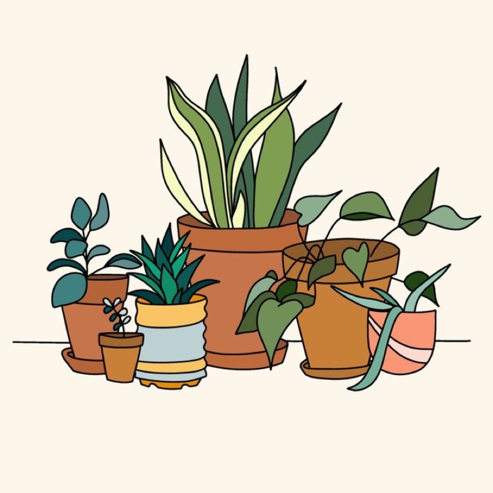 Add me on Depop @ayla_h for more